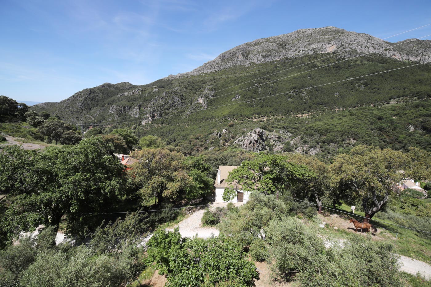 You are not overlooked